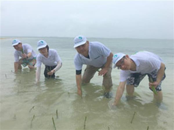 Afforestation and mangrove tourism in Bohol